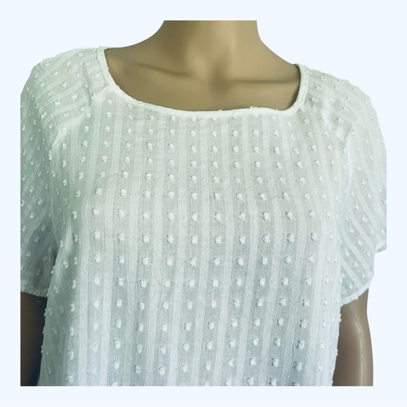 SHEIN White Textured Blouse Medium square neckline short sleeves 100% cotton - Picture 5 of 12